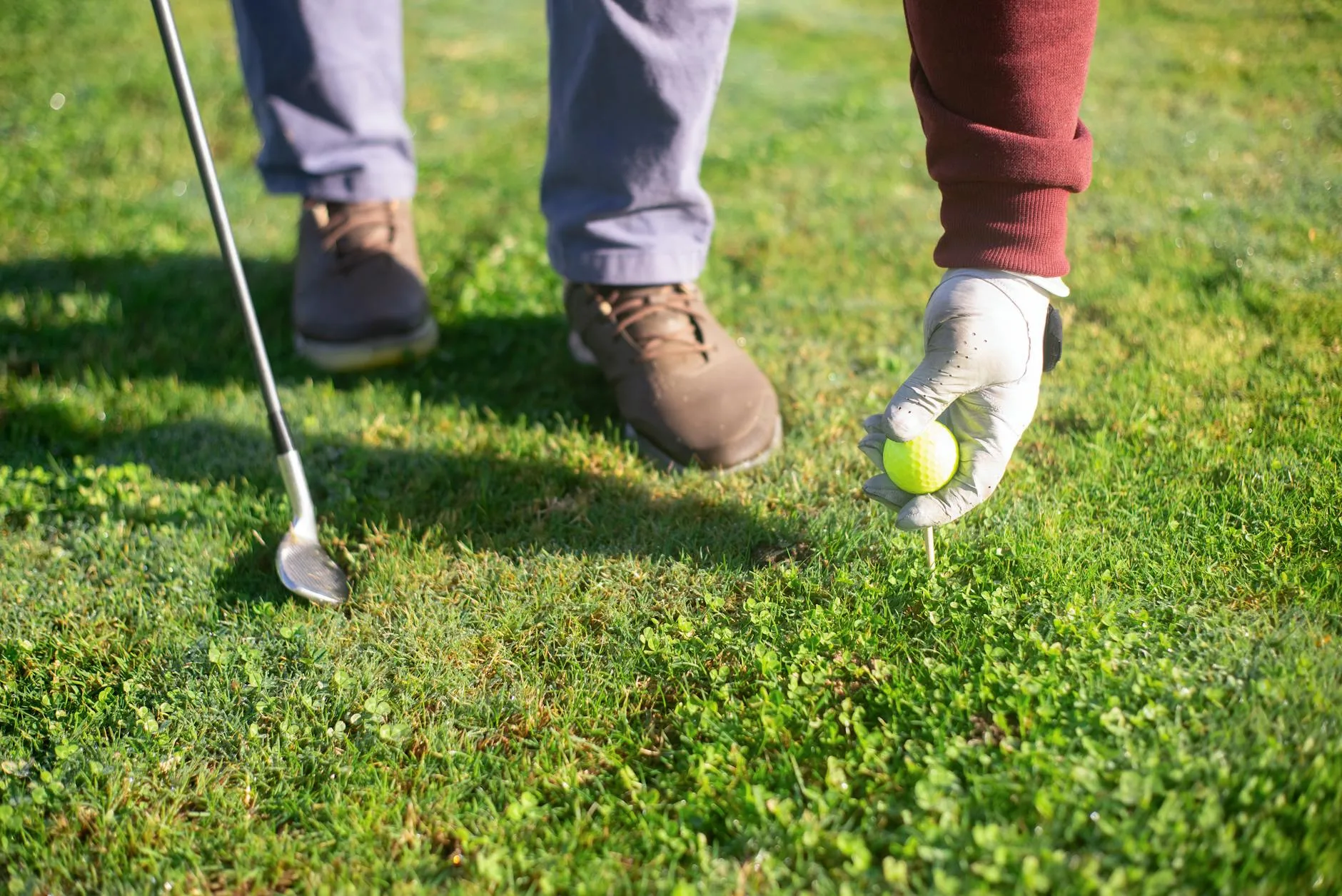Golf balls, tees, and glove laid out as accessories
