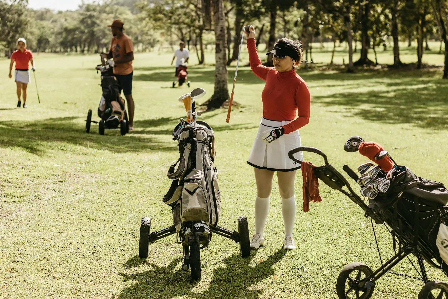 Set of golf clubs in a bag on the course