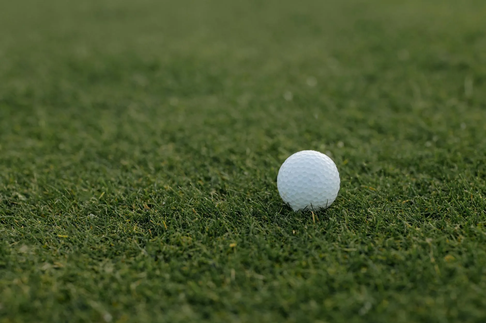Close-up of a golf ball showing dimple pattern