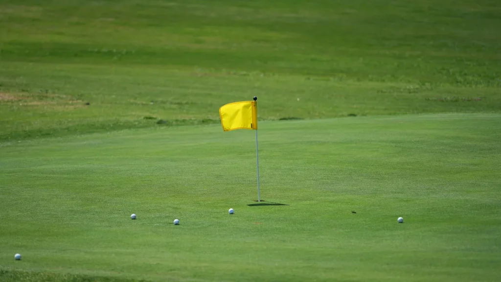 Par 3 golf green with flag on a short UK-style course