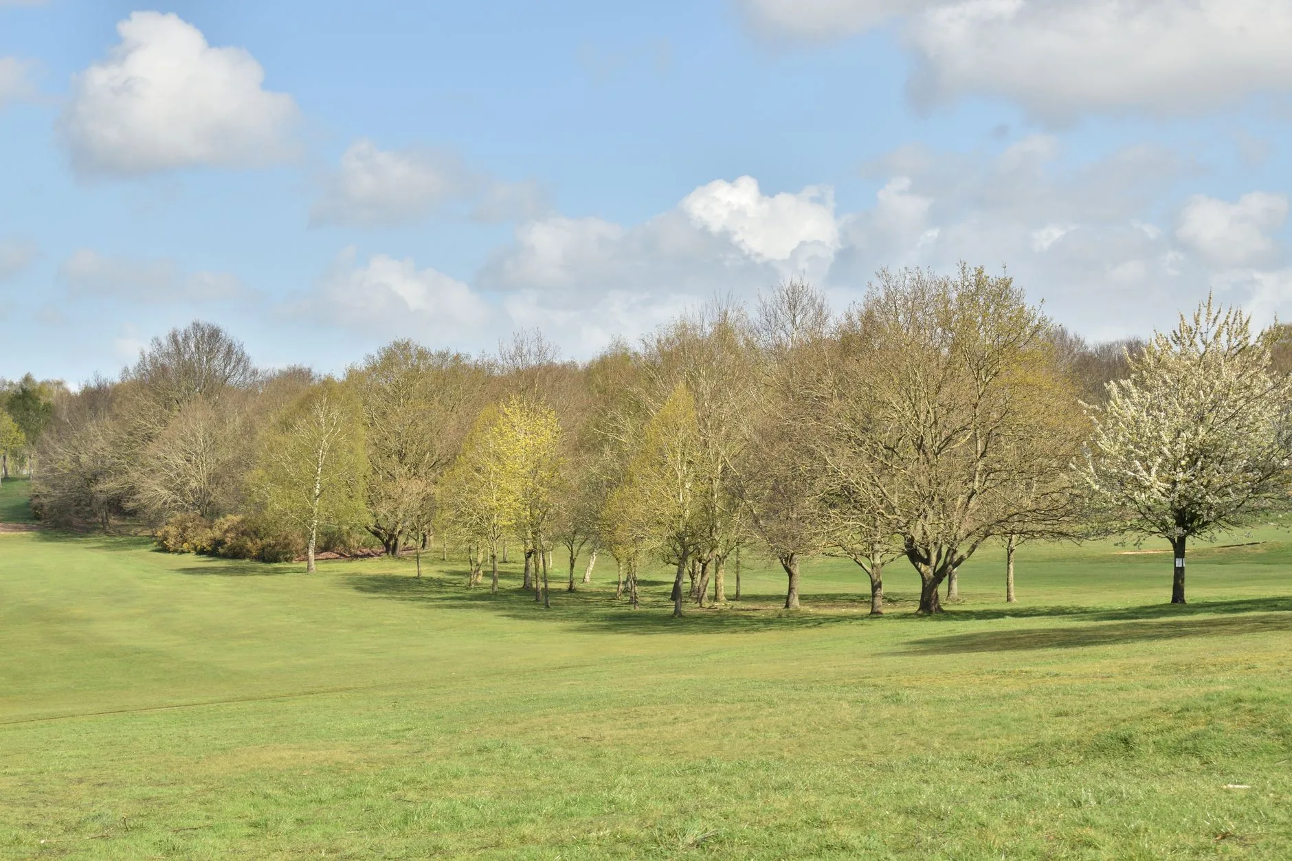Golf hotel course for a UK stay and play break